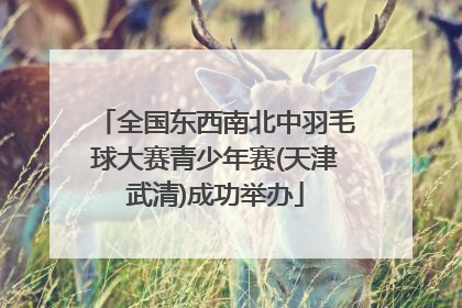 全国东西南北中羽毛球大赛青少年赛(天津武清)成功举办