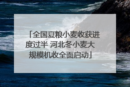 全国夏粮小麦收获进度过半 河北冬小麦大规模机收全面启动