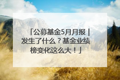 公募基金5月月报｜发生了什么？基金业绩榜变化这么大！