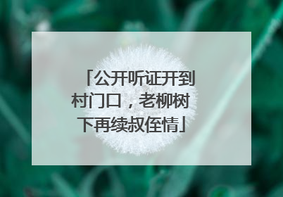 公开听证开到村门口，老柳树下再续叔侄情
