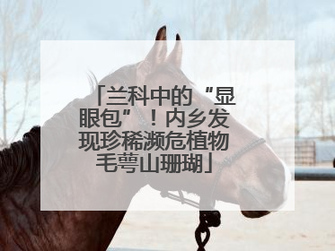 兰科中的“显眼包”！内乡发现珍稀濒危植物毛萼山珊瑚