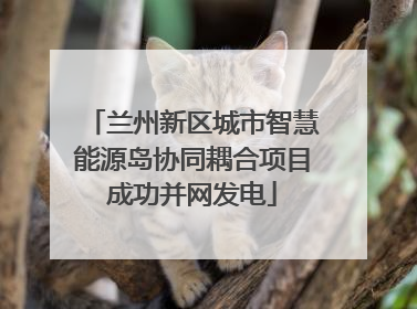 兰州新区城市智慧能源岛协同耦合项目成功并网发电