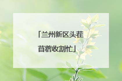 兰州新区头茬苜蓿收割忙