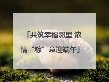 共筑幸福邻里 浓情“粽”意迎端午