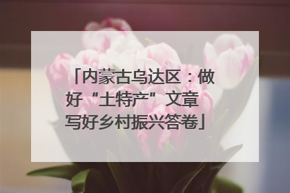 内蒙古乌达区：做好“土特产”文章 写好乡村振兴答卷