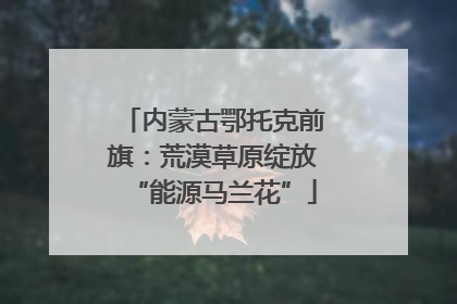 内蒙古鄂托克前旗：荒漠草原绽放“能源马兰花”