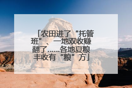 农田进了“托管班”、一地双收赚翻了……各地夏粮丰收有“粮”方