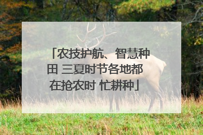 农技护航、智慧种田 三夏时节各地都在抢农时 忙耕种