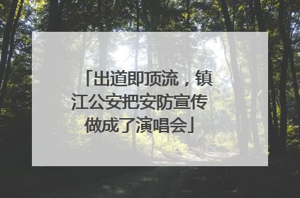 出道即顶流，镇江公安把安防宣传做成了演唱会