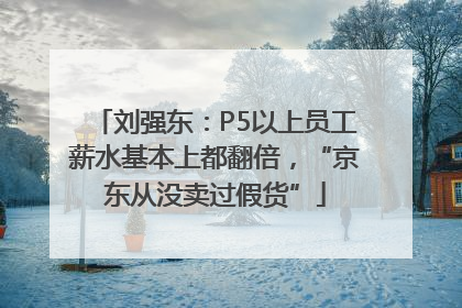 刘强东：P5以上员工薪水基本上都翻倍，“京东从没卖过假货”