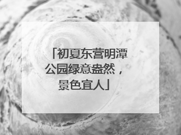 初夏东营明潭公园绿意盎然，景色宜人