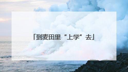 到麦田里“上学”去