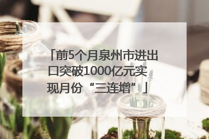 前5个月泉州市进出口突破1000亿元实现月份“三连增”
