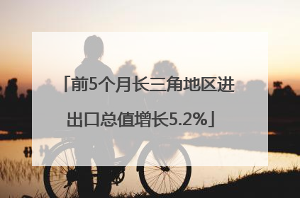 前5个月长三角地区进出口总值增长5.2%