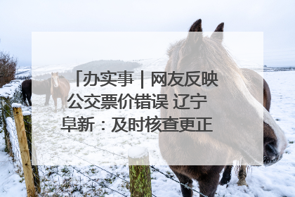 办实事｜网友反映公交票价错误 辽宁阜新：及时核查更正 加强实时巡检