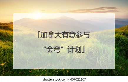 加拿大有意参与“金穹”计划