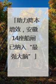 助力降本增效，安徽14座船闸已纳入“最强大脑”