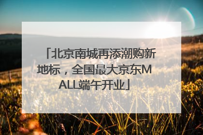 北京南城再添潮购新地标，全国最大京东MALL端午开业
