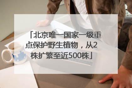 北京唯一国家一级重点保护野生植物，从2株扩繁至近500株