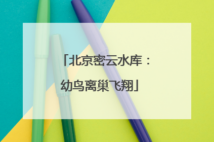 北京密云水库：幼鸟离巢飞翔