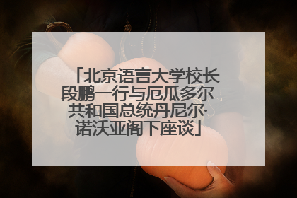 北京语言大学校长段鹏一行与厄瓜多尔共和国总统丹尼尔·诺沃亚阁下座谈
