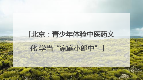 北京：青少年体验中医药文化 学当“家庭小郎中”