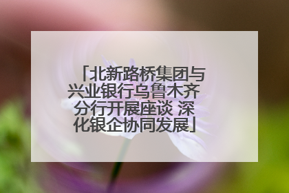 北新路桥集团与兴业银行乌鲁木齐分行开展座谈 深化银企协同发展