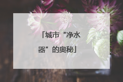 城市“净水器”的奥秘