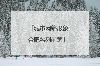 城市网络形象合肥名列前茅