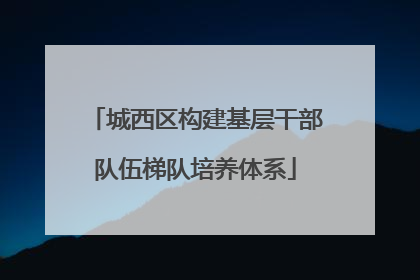 城西区构建基层干部队伍梯队培养体系