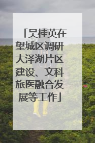 吴桂英在望城区调研大泽湖片区建设、文科旅医融合发展等工作