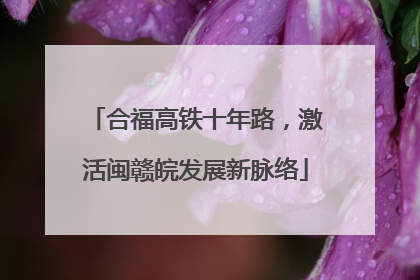 合福高铁十年路，激活闽赣皖发展新脉络