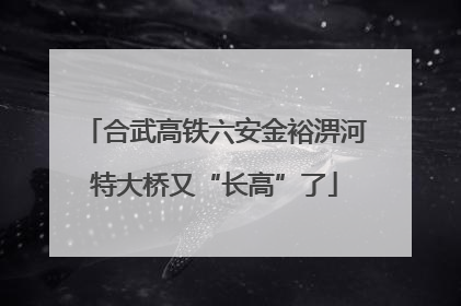 合武高铁六安金裕淠河特大桥又“长高”了