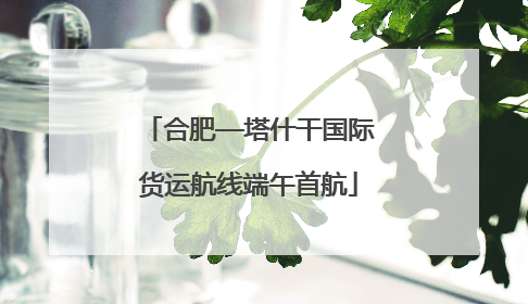 合肥—塔什干国际货运航线端午首航