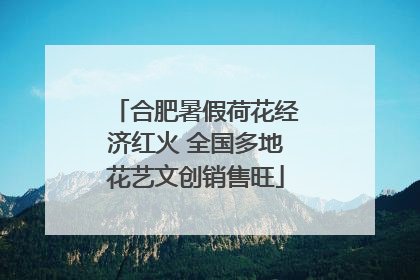 合肥暑假荷花经济红火 全国多地花艺文创销售旺