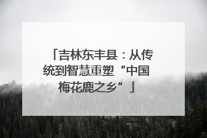 吉林东丰县：从传统到智慧重塑“中国梅花鹿之乡”