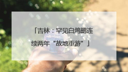 吉林：罕见白鸬鹚连续两年“故地重游”