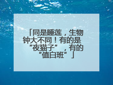 同是睡莲，生物钟大不同！有的是“夜猫子”，有的“值白班”