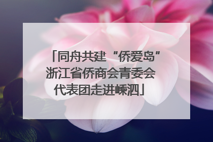 同舟共建“侨爱岛” 浙江省侨商会青委会代表团走进嵊泗