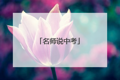 名师说中考