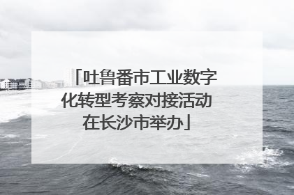 吐鲁番市工业数字化转型考察对接活动在长沙市举办