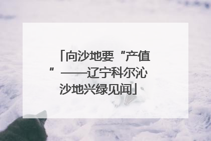 向沙地要“产值”——辽宁科尔沁沙地兴绿见闻