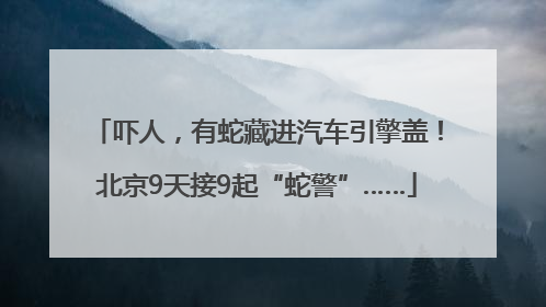 吓人，有蛇藏进汽车引擎盖！北京9天接9起“蛇警”……