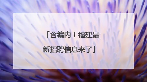 含编内！福建最新招聘信息来了