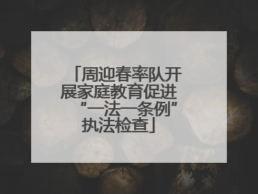 周迎春率队开展家庭教育促进“一法一条例”执法检查