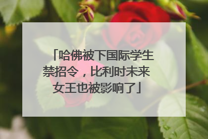 哈佛被下国际学生禁招令，比利时未来女王也被影响了