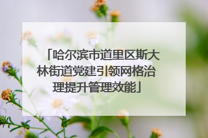 哈尔滨市道里区斯大林街道党建引领网格治理提升管理效能
