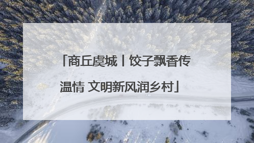 商丘虞城丨饺子飘香传温情 文明新风润乡村