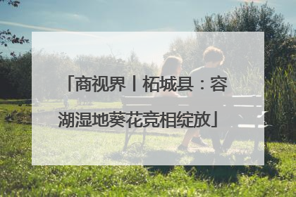 商视界丨柘城县：容湖湿地葵花竞相绽放