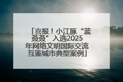 喜报！小江豚“蓝叒叒”入选2025年网络文明国际交流互鉴城市典型案例